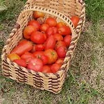 Les Hauts De Grazac, Et Tables D'hôtes Alojamento de Acomodação e Pequeno-almoço 3*