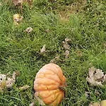 Alojamento de Acomodação e Pequeno-almoço Les Hauts De Grazac, Et Tables D'hôtes 3*