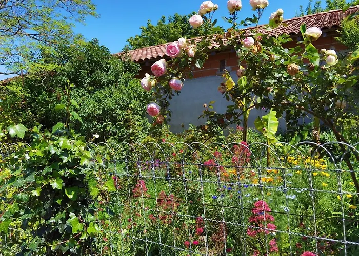 Les Hauts De Grazac, Et Tables D'hotes 3* Grazac (Tarn)