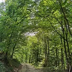 Bed & Breakfast Les Hauts De Grazac, Et Tables D'hotes 3*