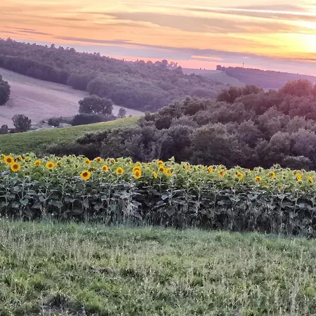 Les Hauts De Grazac, Et Tables D'hotes Panzió