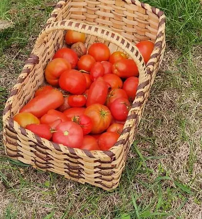 Les Hauts De Grazac, Et Tables D'hotes ベッド・アンド・ブレックファスト *