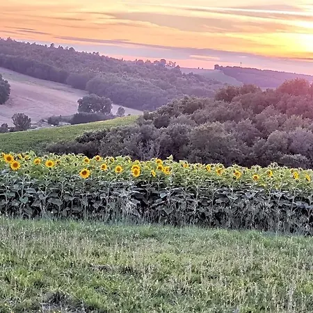 Les Hauts De Grazac, Et Tables D'hotes Grazac (Tarn)