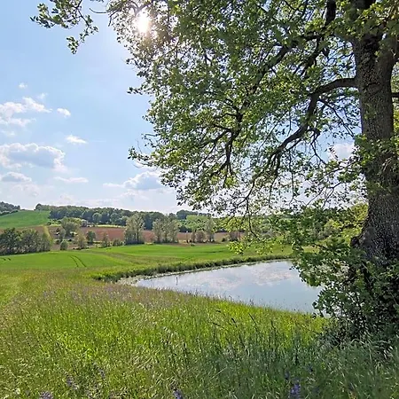 Les Hauts De Grazac, Et Tables D'hotes Grazac (Tarn)