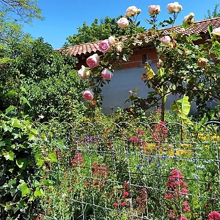 Bed & Breakfast Les Hauts De Grazac, Et Tables D'hotes