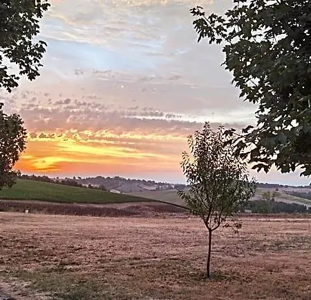 Les Hauts De Grazac, Et Tables D'hotes Bed & Breakfast 3*