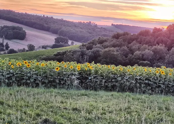 Les Hauts De Grazac, Et Tables D'hotes Bed and breakfast