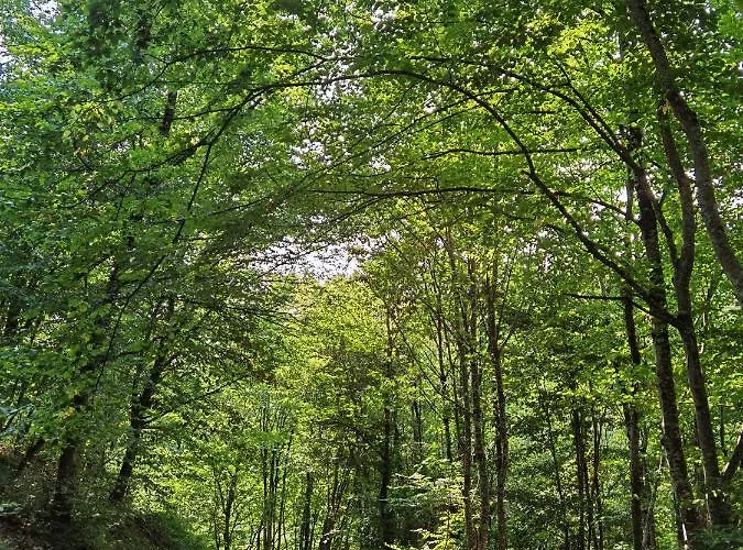 Frühstückspension Les Hauts De Grazac, Et Tables D'hotes 3*