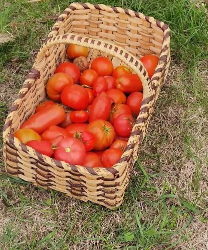 Les Hauts De Grazac, Et Tables D'hotes Frühstückspension 3*